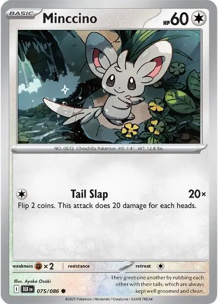 Minccino (075/086) [Scarlet & Violet: Black Bolt] 1