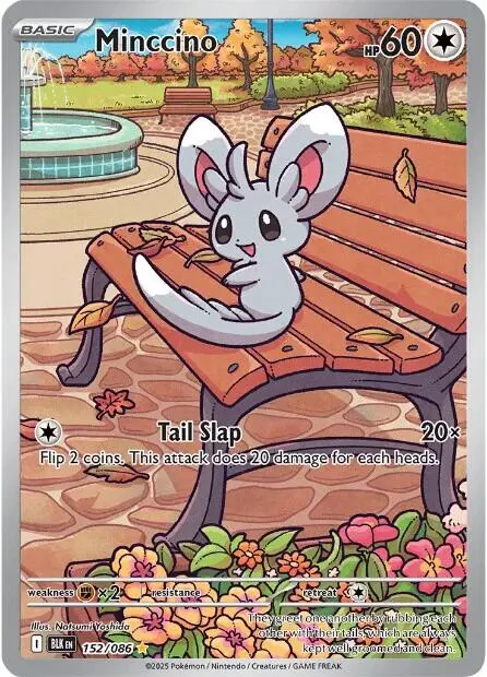 Minccino (152/086) [Scarlet & Violet: Black Bolt] 1