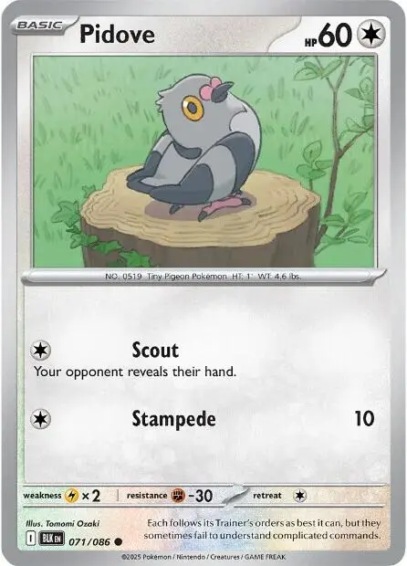 Pidove (071/086) [Scarlet & Violet: Black Bolt] 1