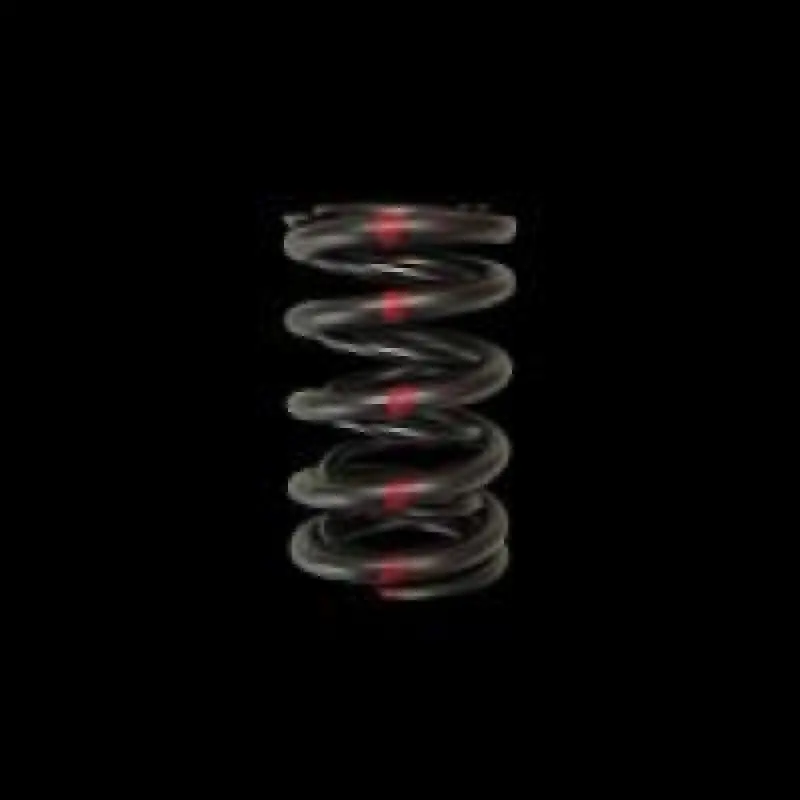 Brian Crower Dual Valve Spring Kit – Compatible With Honda H22 And Nissan Sr20Ve Engines, Single-Pack 1