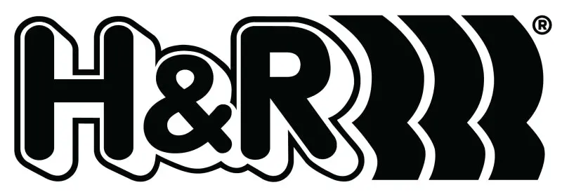 H&R Single Race Spring — 2.5-Inch Inner Diameter, 18-Inch Length, 300 Lb/In Rate 2